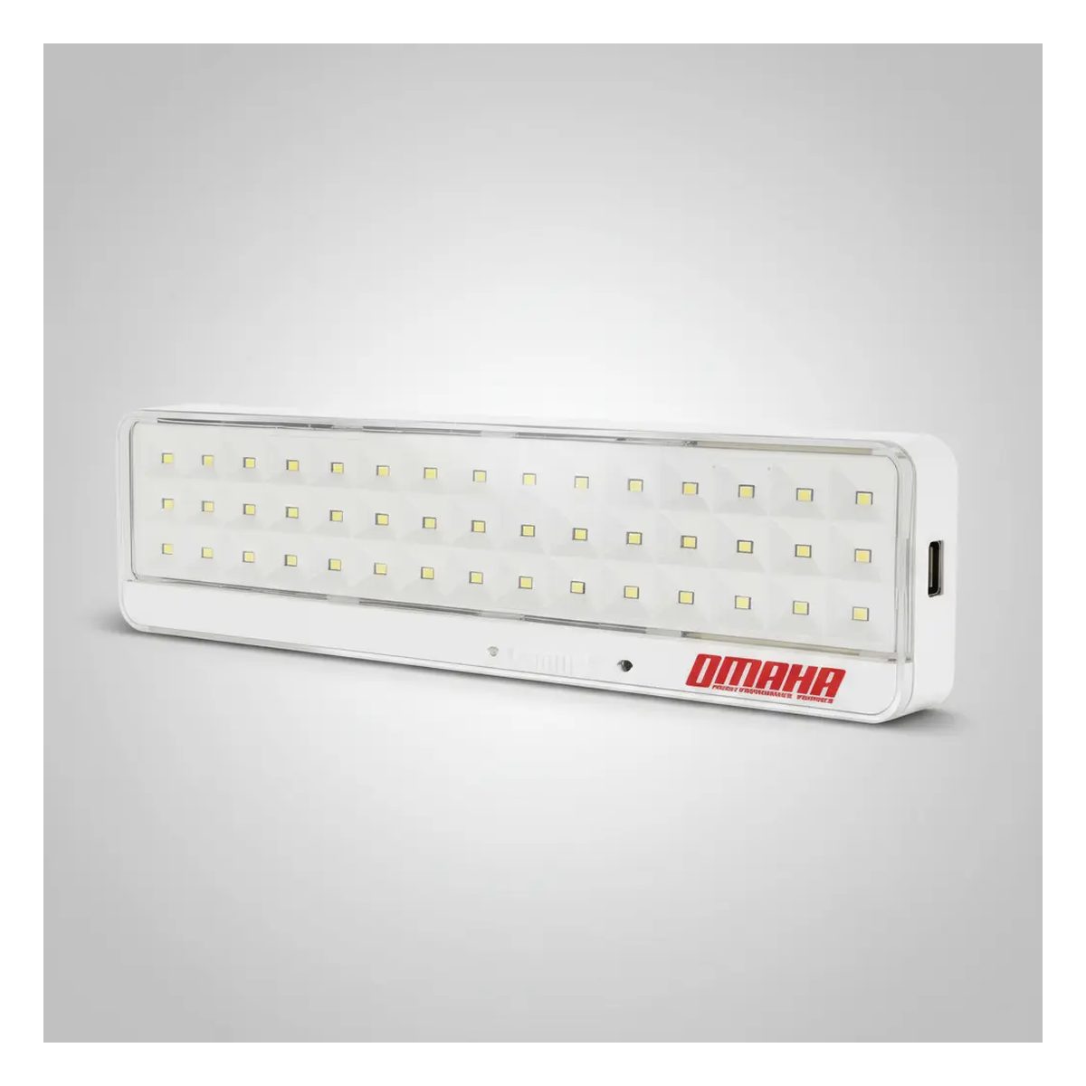 Luz de emergencia Omaha 90 LED