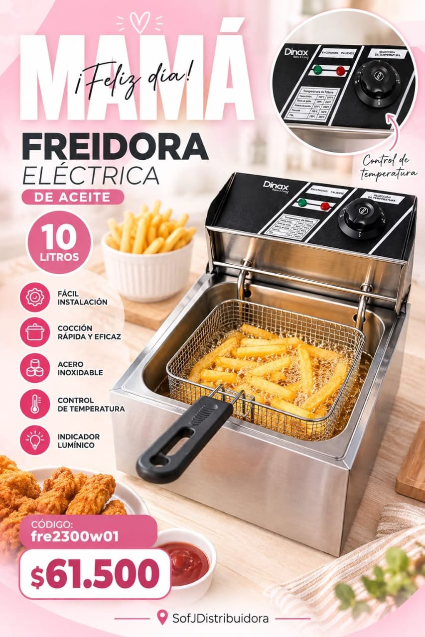 Freidora de aceite Dinax 10 L FRE2300W01
