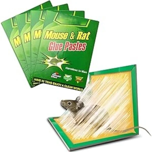Trampa pegamento Adhesiva para Ratones, Ratas Ri Teng Qixiang NEXT IMPORT HC-80